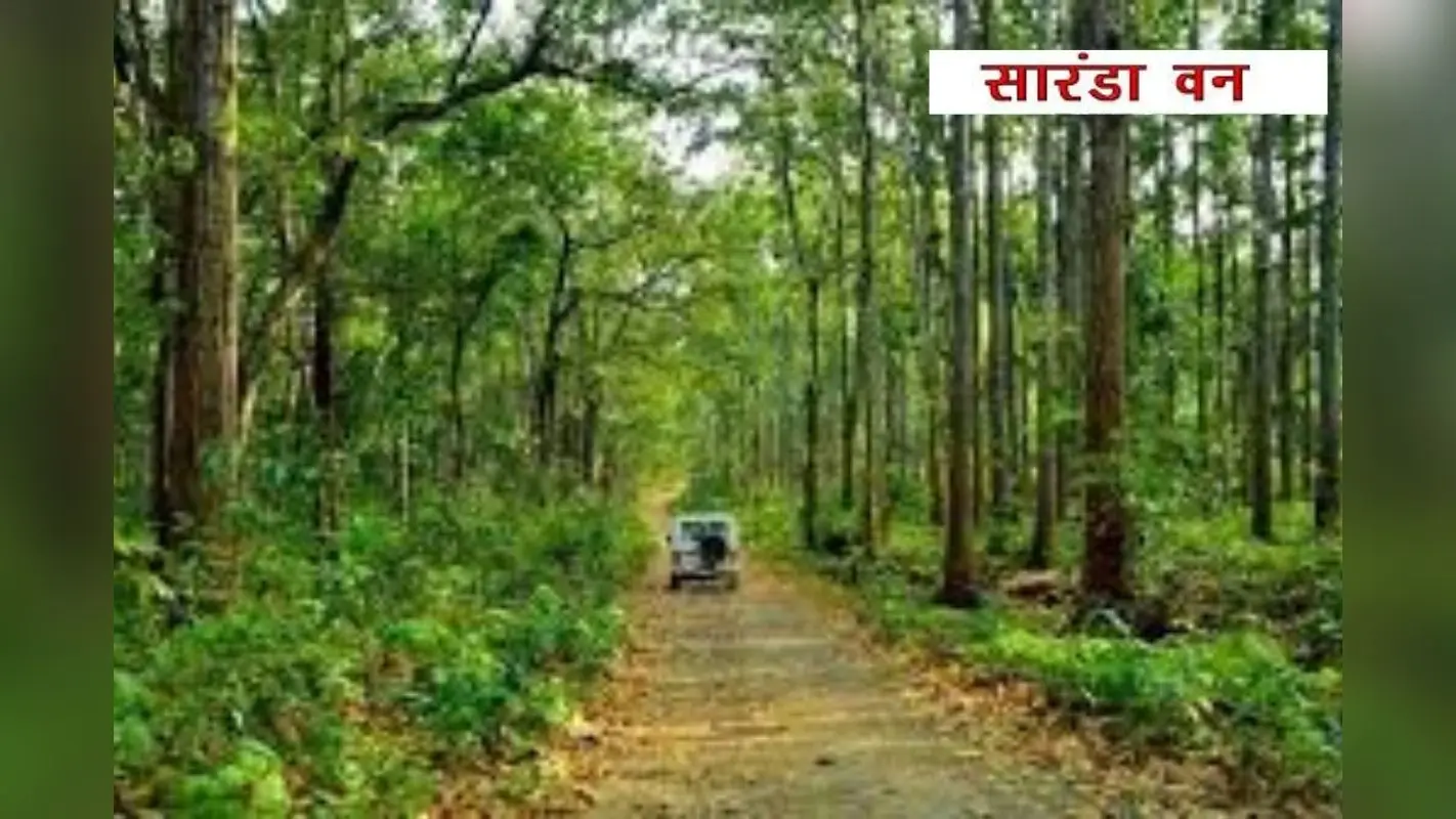 स्टेट वाइल्ड लाइफ बोर्ड पहुंचा सारंडा सैंक्चुअरी का मामला, SC में 23 जुलाई को होगी सुनवाई