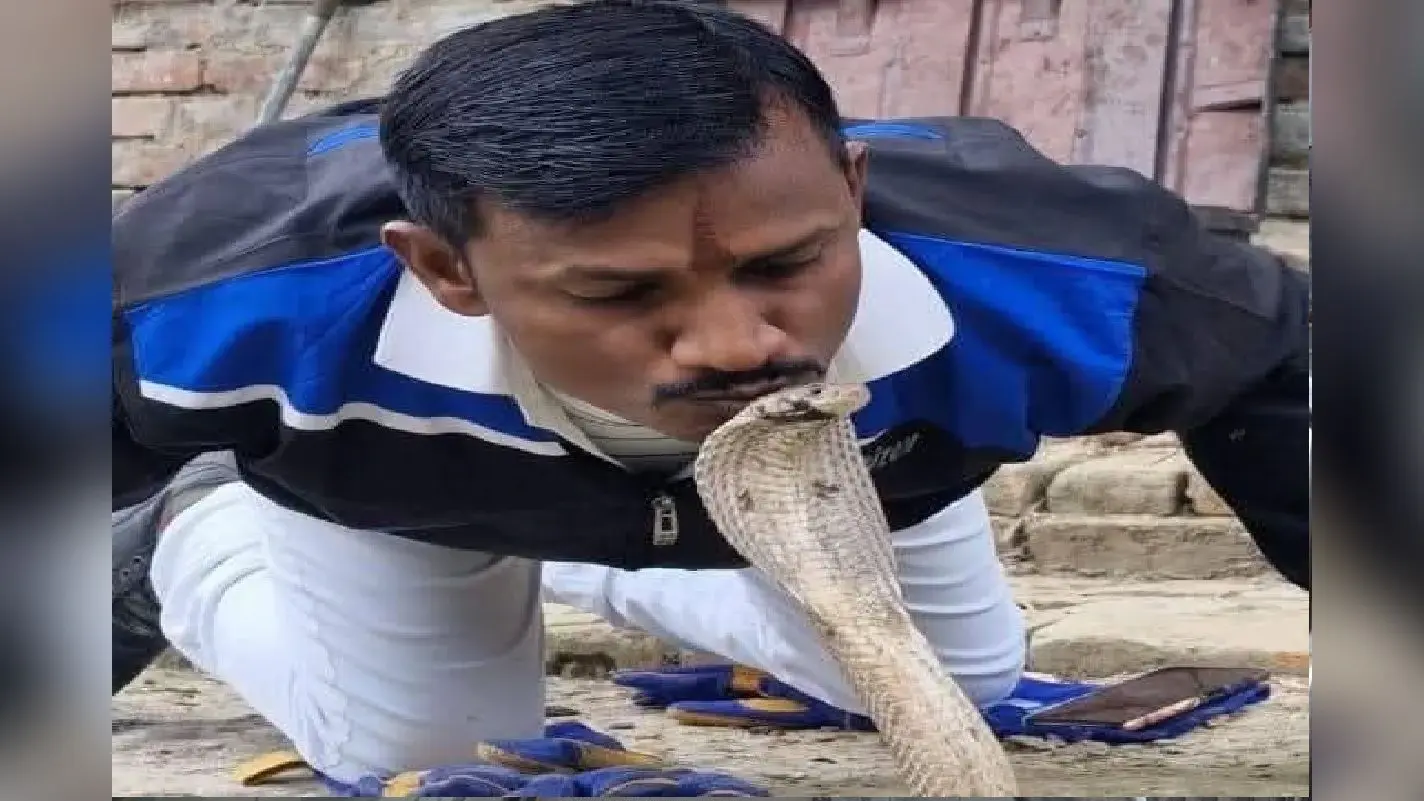 सांपों का रेस्क्यू करने वाला खुद हो गया सर्पदंश का शिकार, चुटकी बजाकर बना लेता था अपना दिवाना