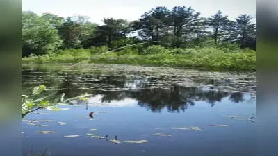 Bihar News: जल-जीवन-हरियाली अभियान का दिखा रंग, इन जिलों को जल संकट से मिली मुक्ति