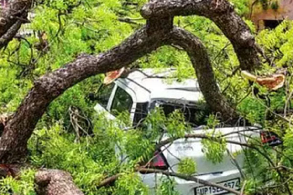 सीवान में आंधी-पानी का कहर, पेड़ से दबकर दो महिलाएं समेत सात लोगों की दर्दनाक मौत