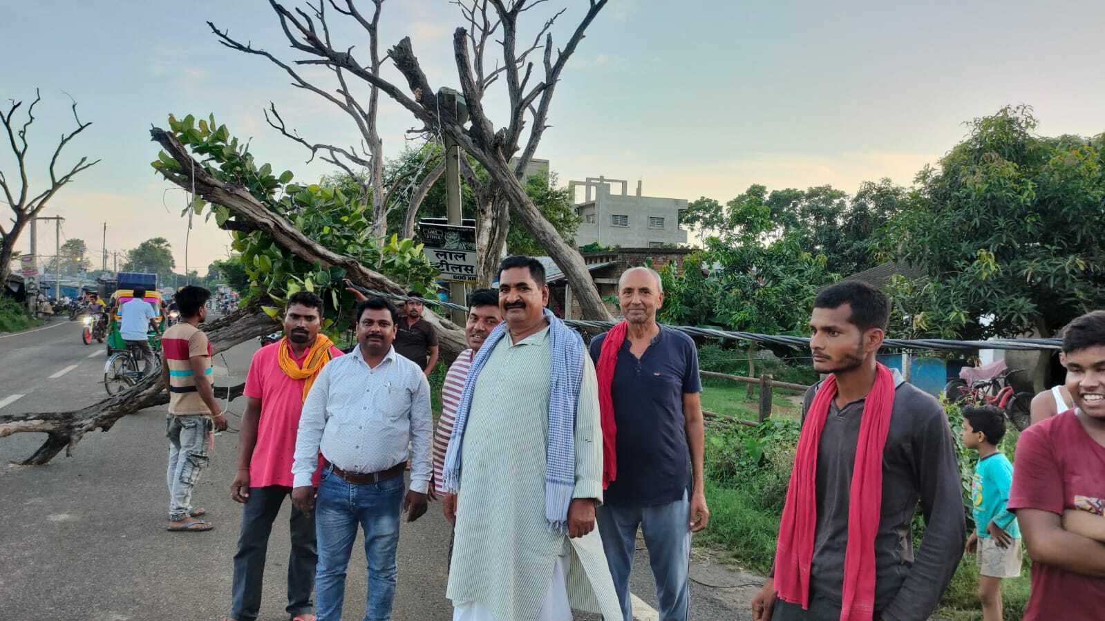 Bhagalpur news सड़क पर पेड़ गिरा, बिजली बाधित