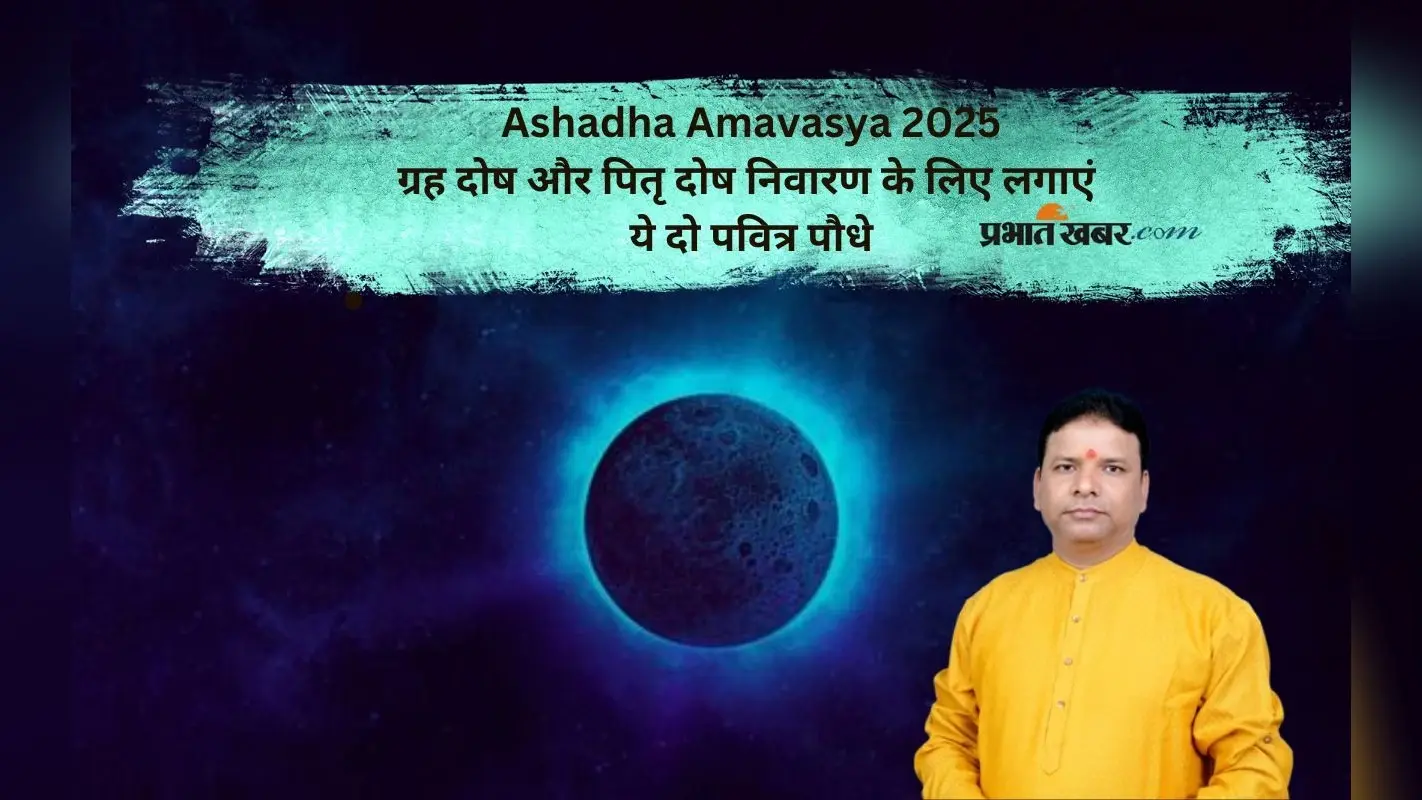 Ashadha Amavasya 2025 पर नीम और पीपल लगाना क्यों है जरूरी? जानें धार्मिक कारण