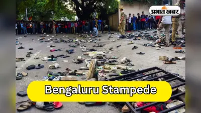 Bengaluru stampede: BCCI ने बना दी कमीटी, जश्न मनाने को लेकर जारी होगा दिशा-निर्देश