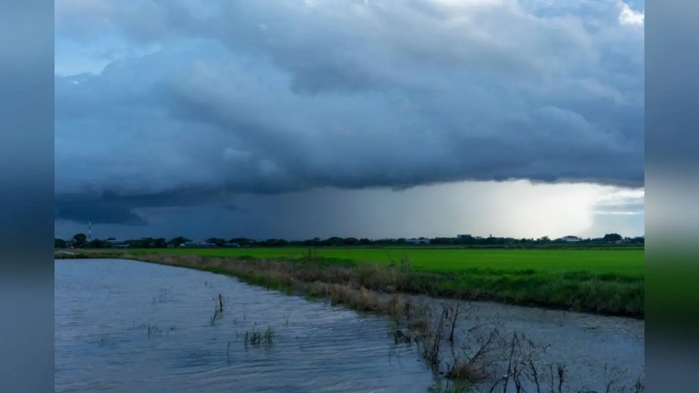 Bihar Rain Alert: बिहार के इस जिले दो दिन रहेगी गर्मी, फिर हल्की बारिश का अनुमान, IMD ने जारी किया अलर्ट