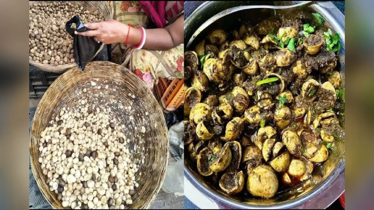 Rugda Benefits: मानसून का देसी मटन क्यों कहलाता है फुटका, सेहत से भी जुड़ी हैं खूबियां