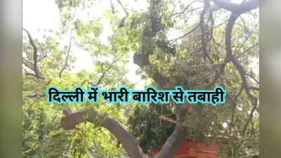 Delhi Heavy Rain: दिल्ली में भारी बारिश से तबाही, करंट लगने से दो की मौत, एक स्ट्रीट डॉग ने भी तोड़ दम