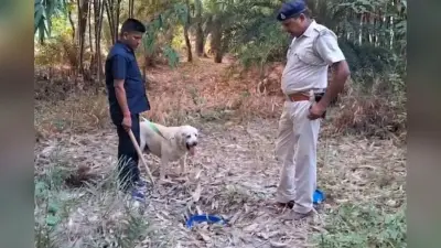 Bihar Liquor: जमीन के अंदर से मिला शराब का जखीरा, डॉग स्क्वॉयड की मदद से चल रहा था तलाशी अभियान