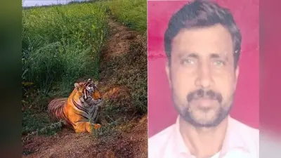बेटे की मौत से टूटा पिता: बाघ ने छीना जीवन का सहारा, बोले “बुढ़ापे में कौन थामेगा मेरा हाथ?”