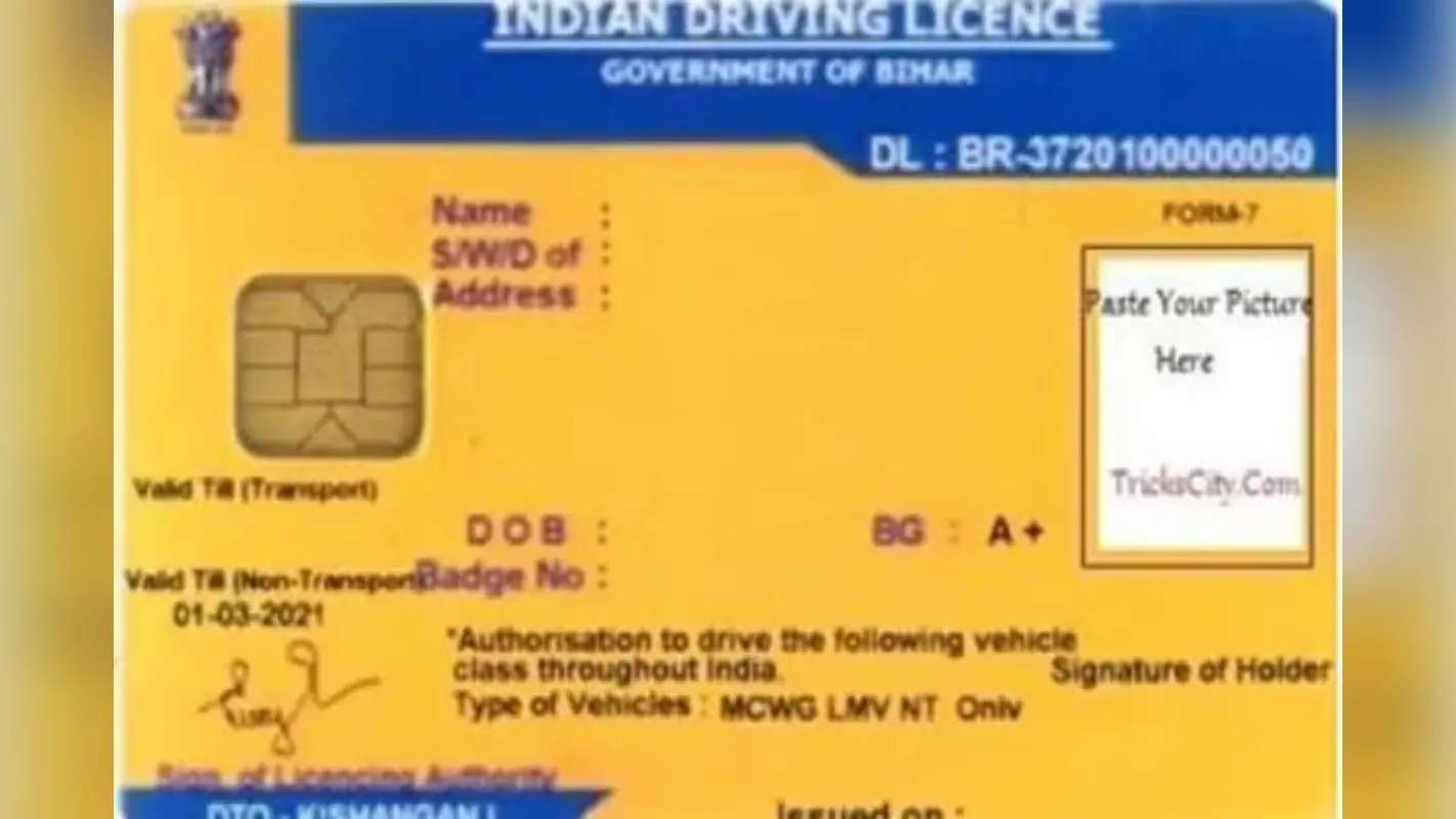 Driving License: बिहार में ट्रैफिक नियमों की अनदेखी पर सख्त कार्रवाई, एक साल में 1705 ड्राइविंग लाइसेंस सस्पेंड, 63 रद्द