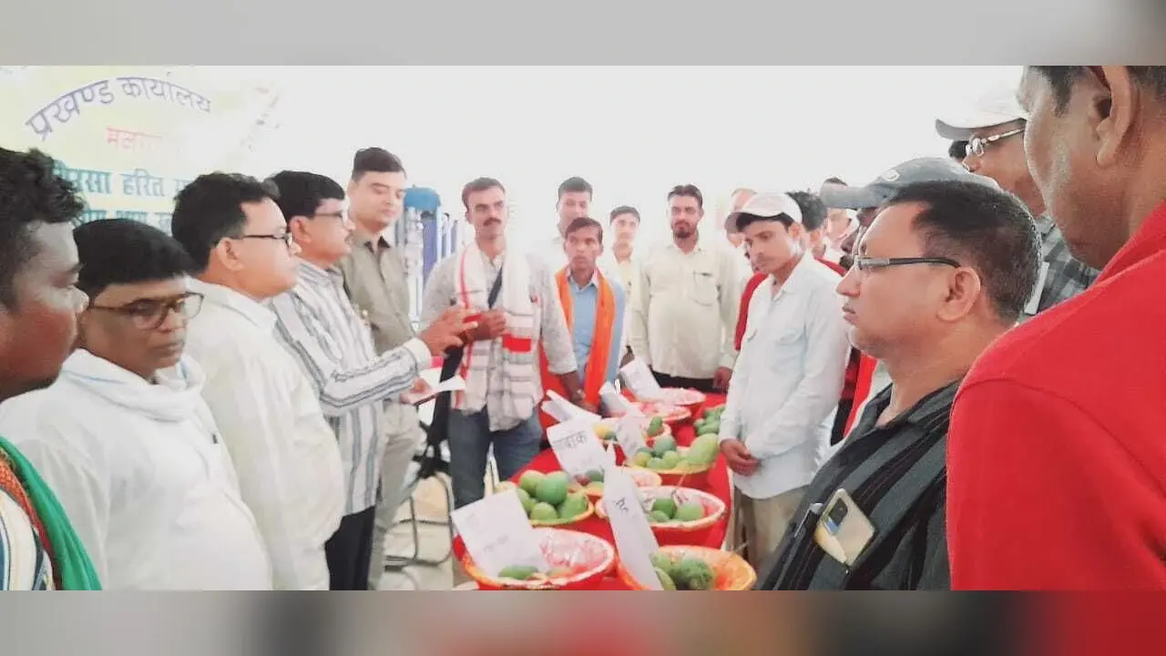 सारठ : मेले में विभिन्न किस्में के आम की लगायी गयी प्रदर्शनी
