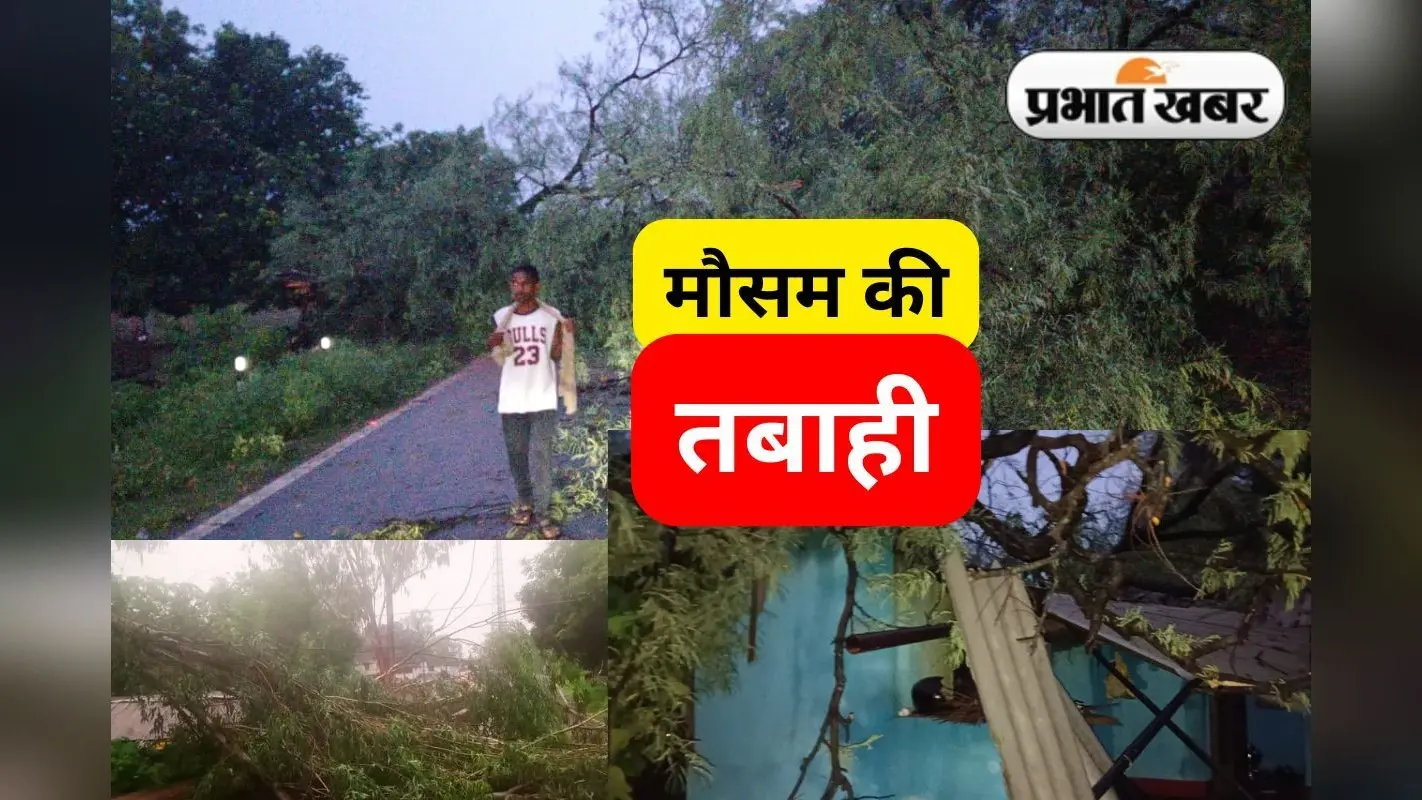 Jharkhand Weather: झींकपानी में आंधी-बारिश ने मचायी तबाही, विशाल इमली का पेड़ घर पर गिरा
