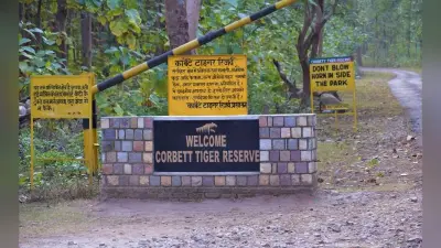 Oldest National Park in India : भारत के सबसे पुराने नेशनल पार्क, जहां एक बार सफारी तो बनती है