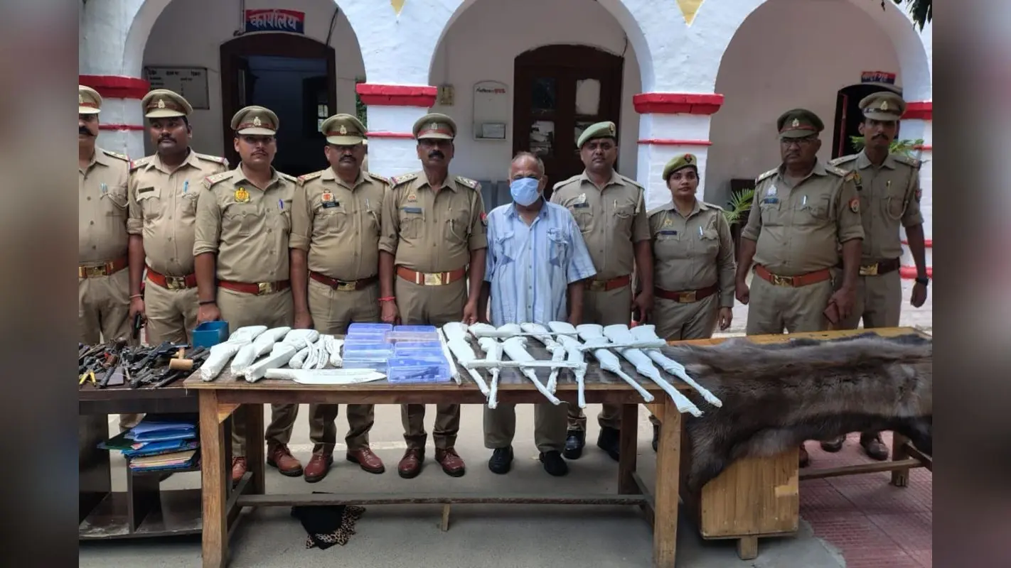 बंगाल से बांग्लादेश, फिर चीन… इंटरनेशनल टर्टल तस्करी का पर्दाफाश, STF के हत्थे चढ़ा तस्कर