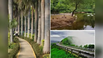 Monsoon Picnic Spots in Delhi: मानसून में घूमिए दिल्ली की ये 8 खूबसूरत जगहें, फैमिली टाइम होगा यादगार