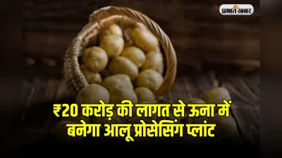 MSP: ₹20 करोड़ की लागत से ऊना में बनेगा आलू प्रोसेसिंग प्लांट, किसानों को मिलेगा फायदा