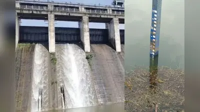 Jharkhand Heavy Rain: सावधान! कभी भी खोले जा सकते हैं पतरातू डैम के फाटक, रहें सतर्क, सभी थानों को अलर्ट रहने के निर्देश