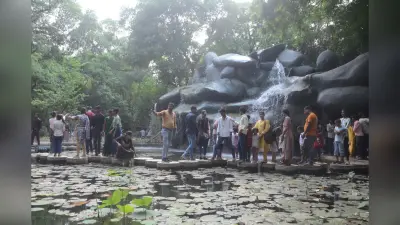 Patna Zoo: पटना जू में गर्मी भी रोज आ रहे हैं इतने दर्शक, सबसे ज्यादा भीड़ बाघ केज के पास