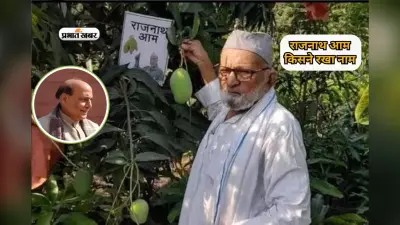 बाजार में आ गया ‘राजनाथ आम’, नहीं जानते भारत के लोग किसने रखा नाम