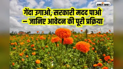 Subsidy Scheme: खेतों में खिलेगा गेंदा फूल, सरकार दे रही है 80 हजार रुपये तक की मदद, जानिए आवेदन की पूरी प्रक्रिया