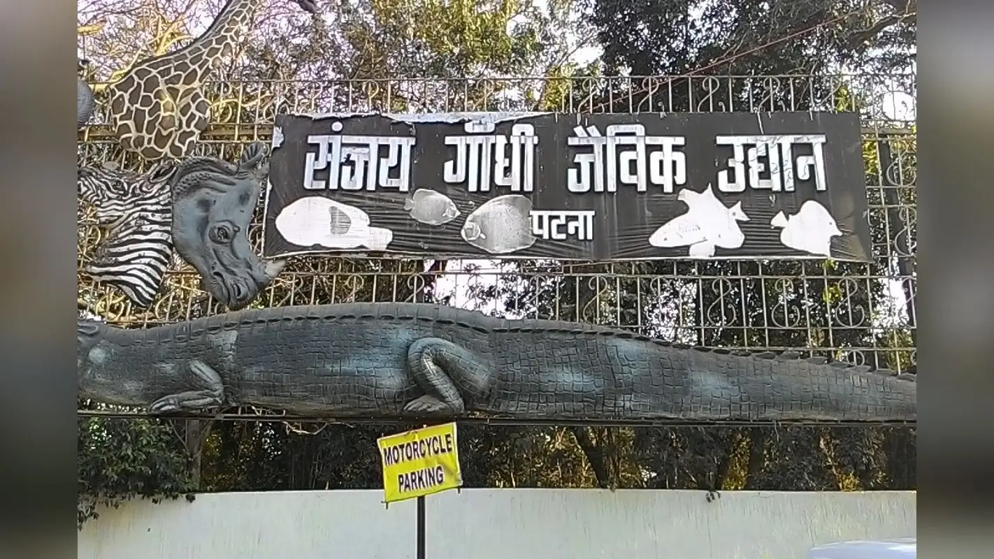 बिहार के इस जिले में है देश का चौथा सबसे बड़ा चिड़ियाघर, 20 लाख से अधिक पर्यटक आते हैं घूमने, जानवरों के लिए खास सुविधाएं