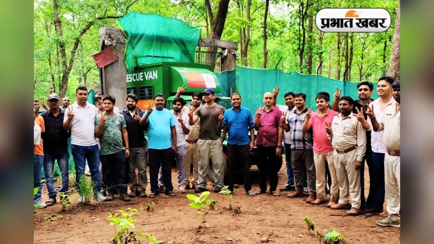 Latehar News: रांची के सिल्ली से रेस्क्यू कर लाये गये बाघ को पीटीआर में छोड़ा गया