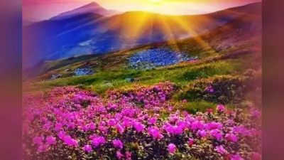 UNESCO WHC Site: क्यों खास है उत्तराखंड की Valley of Flowers? ऐसा है भारत की सबसे सुंदर घाटी का राज