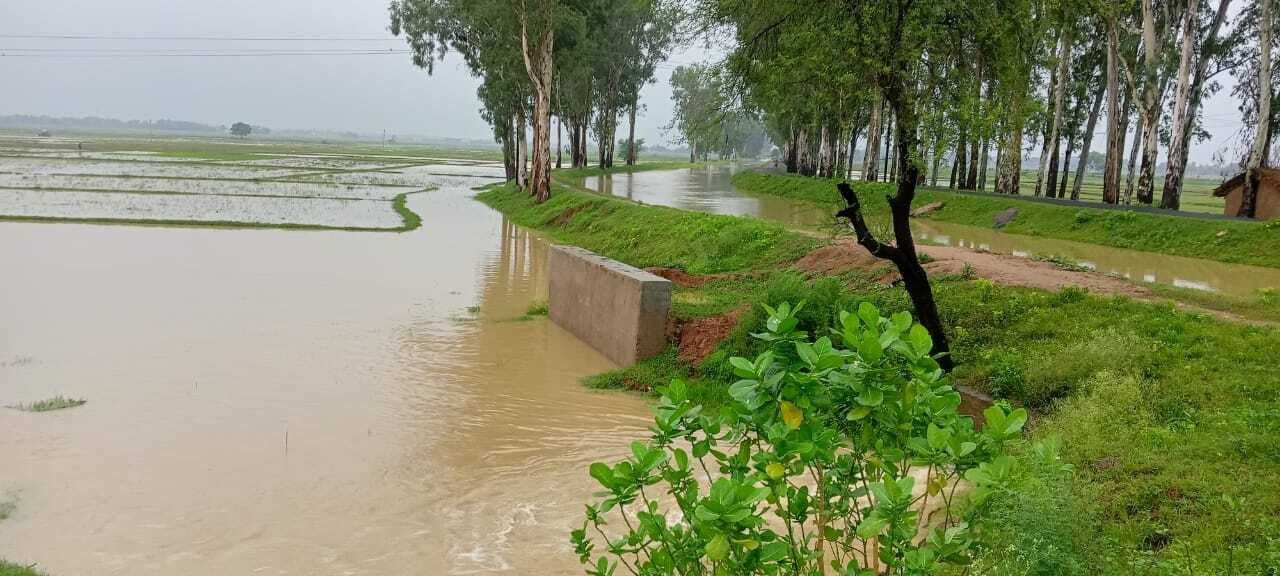 बांका में लगातार बारिश से नदियां उफान पर, खेत-बहियार भी हुआ जलमग्न