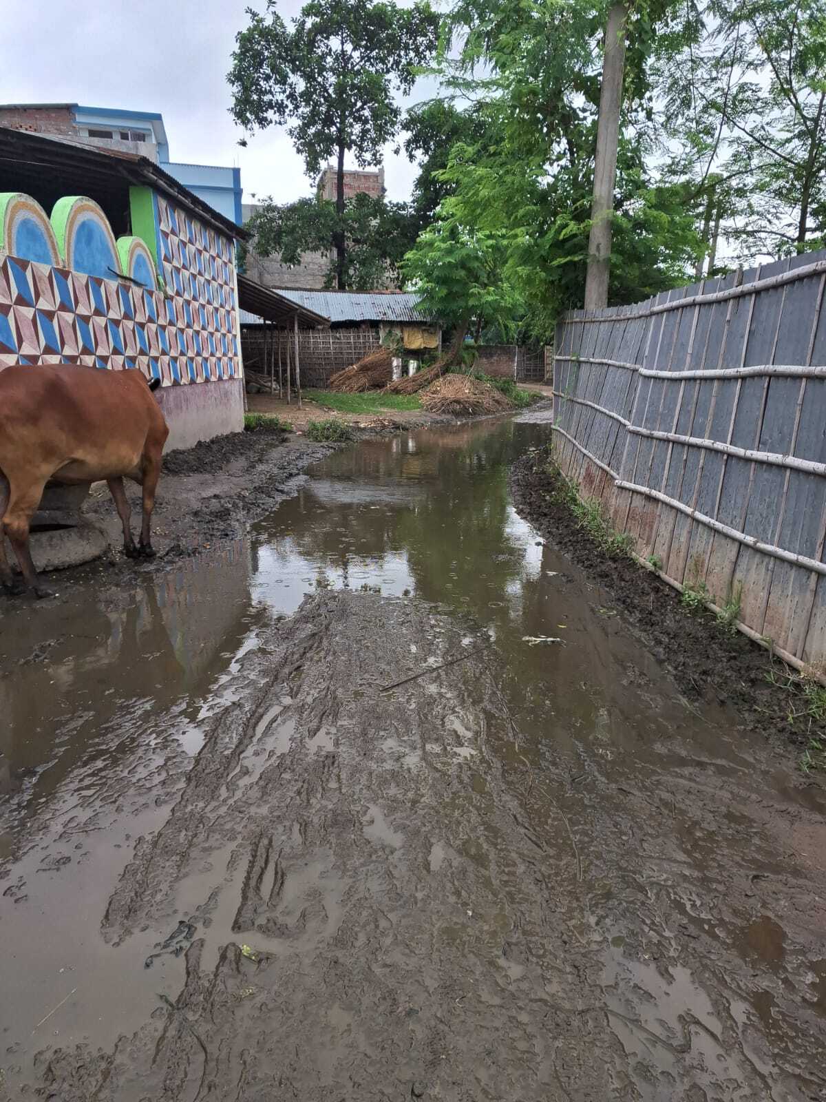 नपं बरारी के वार्ड दो, सात व नौ में जलजमा व कीचड़ से आफत