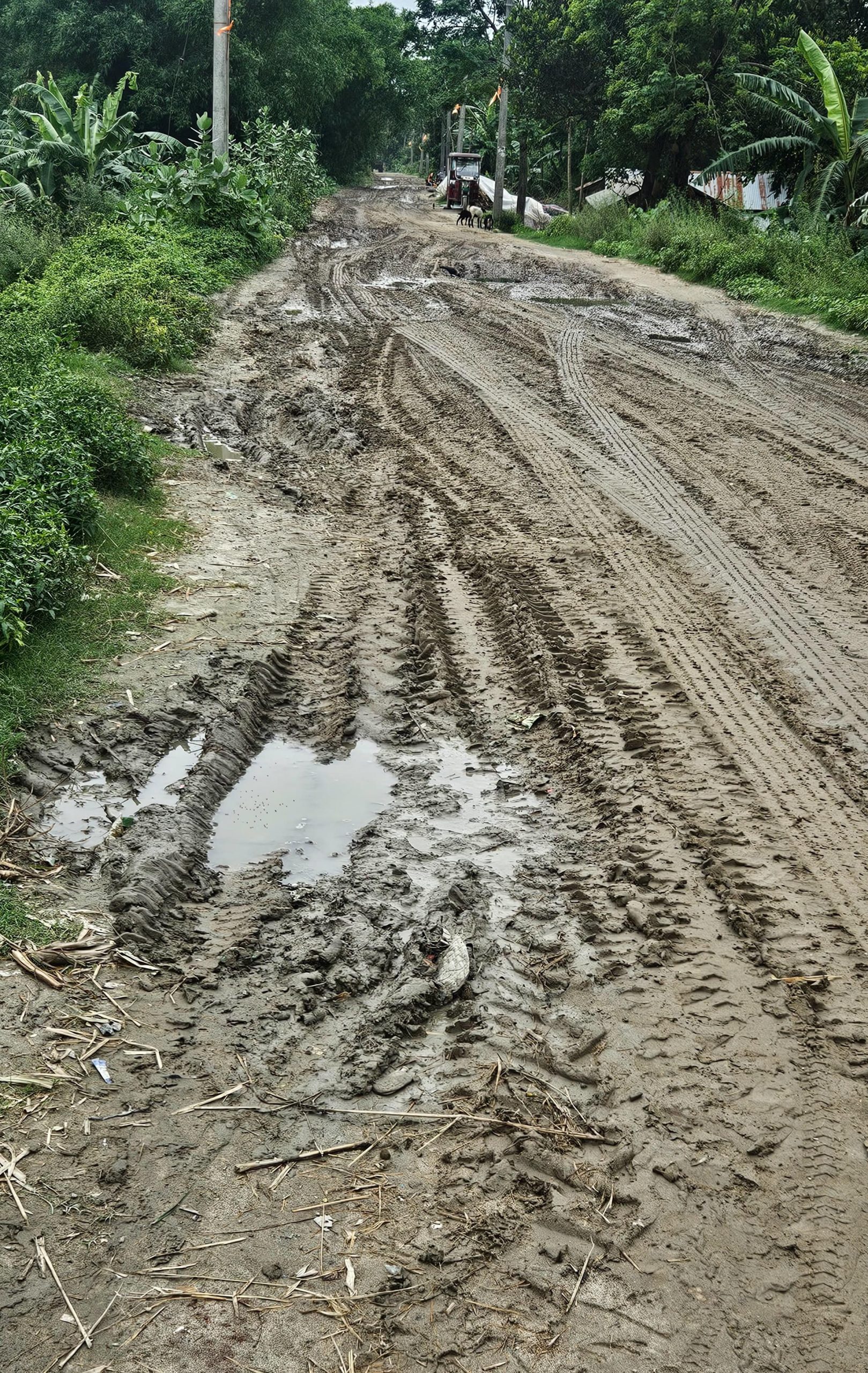 दमदमा-बहरखाल-मीनापुर तटबंध पर बनी सड़क जर्जर
