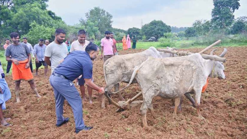 Giridih News: पहाड़पुर में डीसी ने की मूंगफली की खेती व धान की रोपाई