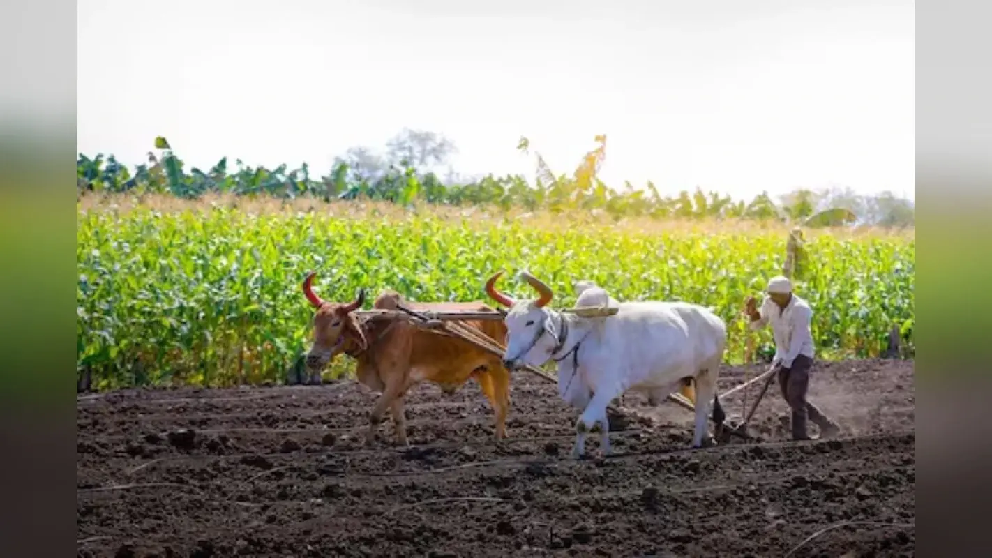 मोहनिया में हुआ दिल दहला देने वाली घटना, तालाब में डूबने से तीन बच्चियों की गई जान