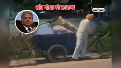 आनंद महिंद्रा ने 88 साल के बुजुर्ग पर ऐसा किया पोस्ट, वीडियो देख आंसू से भर जाएंगी आंखें