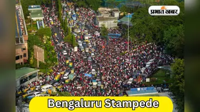 CAT ने बेंगलुरु हादसे के लिए RCB को ठहराया जिम्मेदार, जश्न के दौरान हुई थी 11 लोगों की मौत