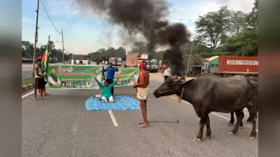 Bihar Bandh: बीच सड़क पर चादर बिछाकर सोए RJD नेता, भैंस बांधकर किया प्रदर्शन