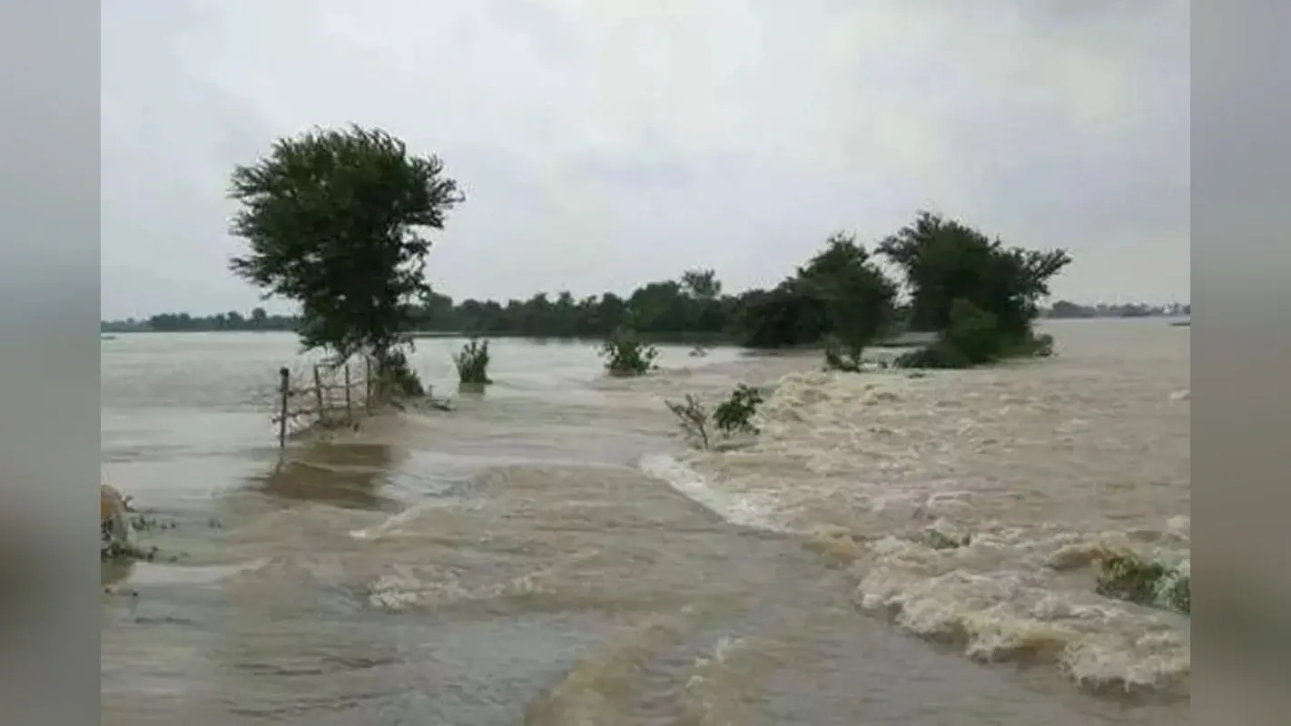 Bihar Flood News: बिहार में गंगा, बूढ़ी गंडक और पुनपुन उफान पर, लाल निशान पार, पटना में 78 स्कूल बंद