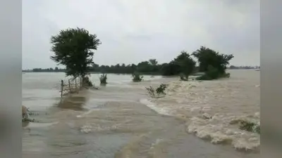 Bihar Flood News: बिहार में गंगा, बूढ़ी गंडक और पुनपुन उफान पर, लाल निशान पार, पटना में 78 स्कूल बंद
