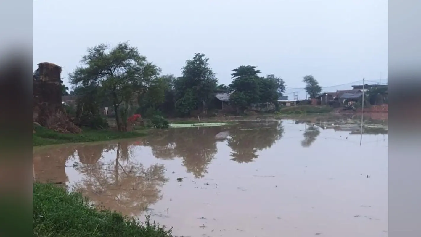 Bihar Flood Alert: नेपाल में बारिश ने बिहार में लाई आफत, गंगा, गंडक, कोसी के साथ ये नदियां उफान पर… अलर्ट जारी