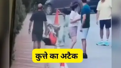 Viral Video : खूंखार कुत्ता महिला पर झपटा, डरावना वीडियो वायरल