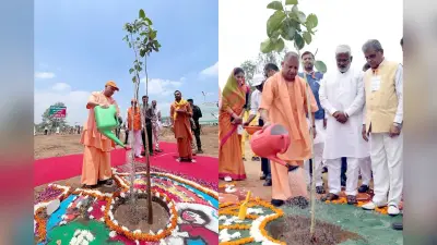 एक पेड़ मां के नाम… यूपी में 37 करोड़ पौधों का महाभियान आज से शुरू
