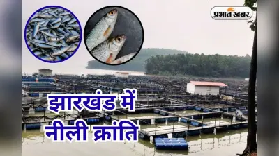 PHOTOS: मत्स्य के क्षेत्र में आत्मनिर्भर बनेगा झारखंड, 4.10 लाख मीट्रिक टन मछली उत्पादन का लक्ष्य