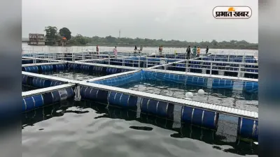 सीतारामपुर जलाशय में पहली बार शुरू हुई केज पद्धति से मछली पालन