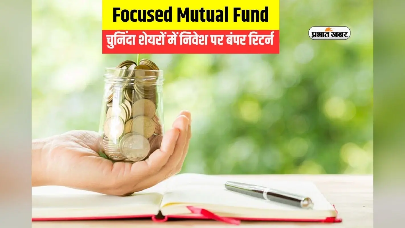 Focused Fund: चुनिंदा शेयरों में पैसा लगाने पर मिलेगा बंपर रिटर्न, मगर कैसे? जानें एक्सपर्ट की राय