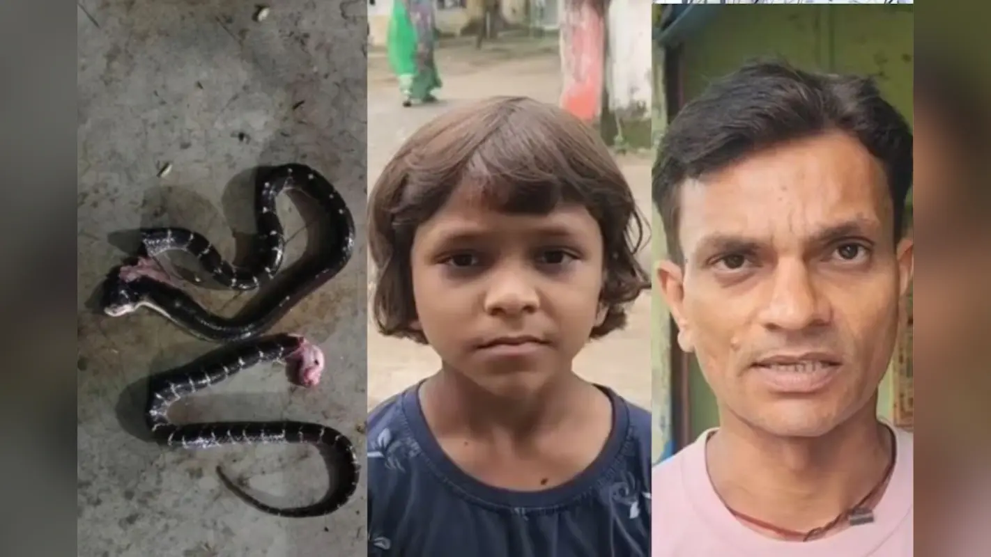 Bihar News: 10 साल की बच्ची के गले में लिपटा दो विषैला सांप, जान की बाजी लगा कर पिता ने बचाया
