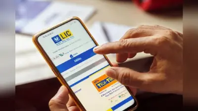 How To Know LIC Policy: घर बैठे मिनटों में ऐसे जानें एलआईसी पॉलिसी की डिटेल, मोबाइल देगा पूरी जानकारी