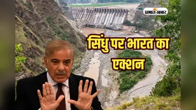 सिंधु पर भारत का एक्शन, घबराया पाकिस्तान OIC पहुंचा!