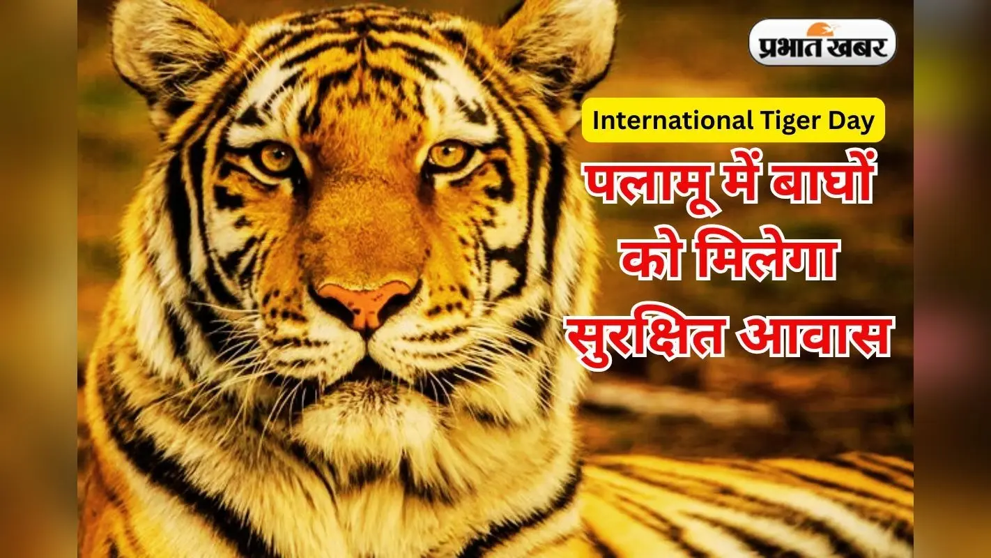 पलामू टाइगर रिजर्व से 35 गांव के लोगों के पुनर्वास की प्रक्रिया शुरू