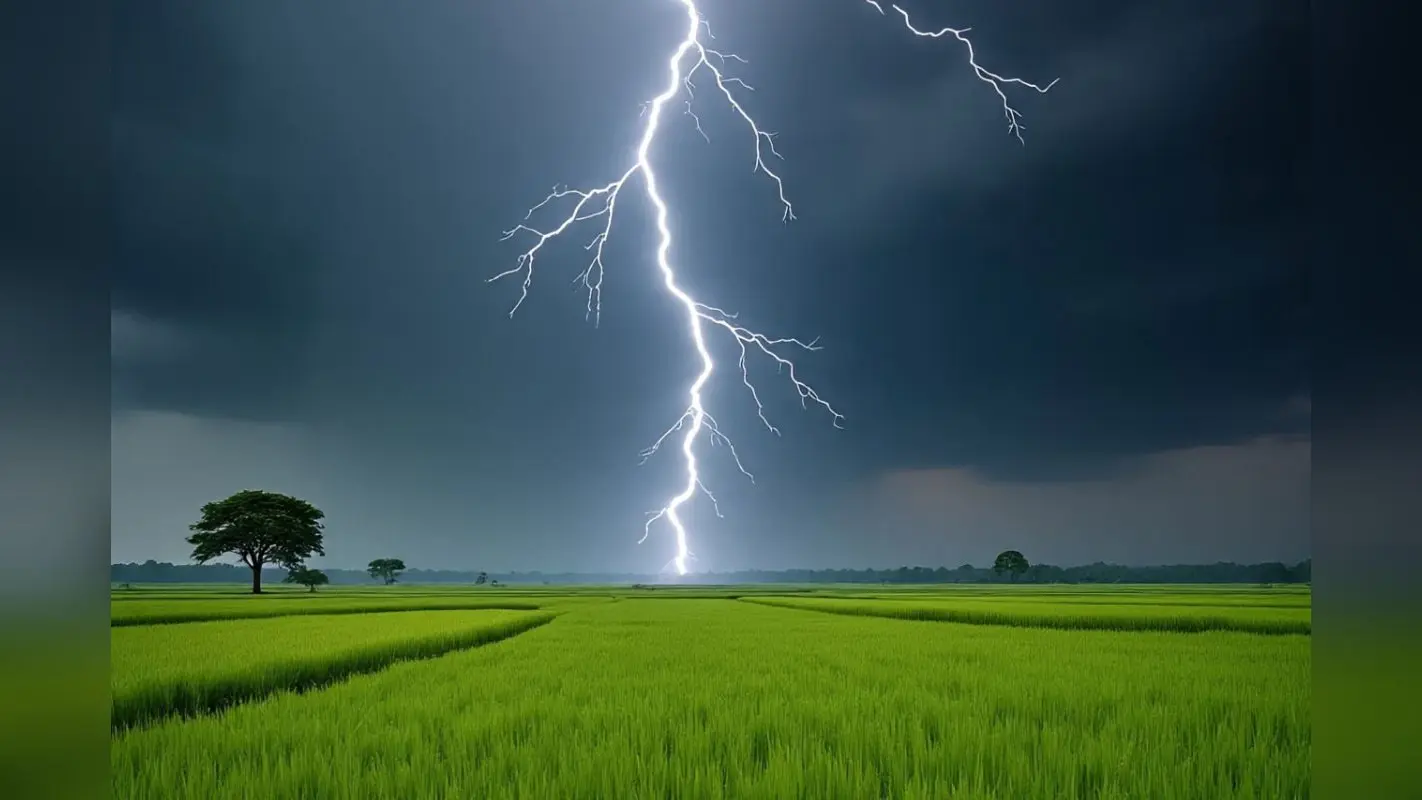 Lightning Strike: झारखंड में आसमान से बरसी मौत, मां ने तोड़ा दम, 21 साल की बेटी झुलसी, धनरोपनी के दौरान हुआ हादसा
