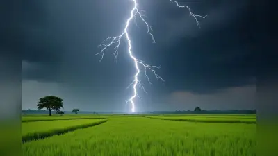 Lightning In Jharkhand: सरायकेला में आसमानी बिजली गिरने से तीन महिलाएं घायल, खेत में काम कर लौट रही थीं घर
