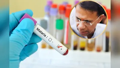 Malaria Eliminate Mission: 2025-26 तक गोवा होगा मलेरिया मुक्त, स्वास्थ्य मंत्री विश्वजीत राणे ने बनाया रोडमैप