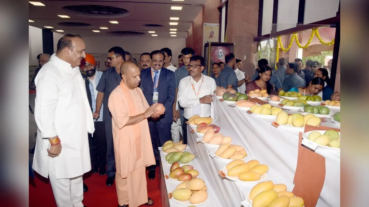 सीएम योगी आज करेंगे ‘आम महोत्सव’ का उद्घाटन, लंदन-दुबई भेजी जाएगी प्रदेश की मिठास